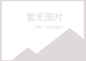 安泽县紫山能源有限公司